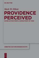 Providence Perceived: Divine Action from a Human Point of View