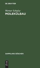 Molekülbau: theoretische Grundlagen und Methoden der Strukturermittlung