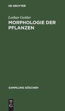 Morphologie der Pflanzen