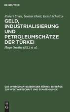 Geld, Industrialisierung und Petroleumschätze der Türkei: aus: Das Wirtschaftsleben der Türkei : Beiträge zur Weltwirtschaft und Staatenkunde, Bd. 2