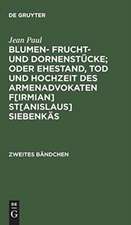 Blumen- Frucht- und Dornenstücke; oder Ehestand, Tod und Hochzeit des Armenadvokaten F[irmian] St[anislaus] Siebenkäs: Bdch. 2