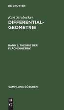 Theorie der Flächenmetrik: aus: Differentialgeometrie, 2