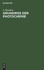 Grundriss der Photochemie: in elementarer Darstellung als Einführung in das Studium