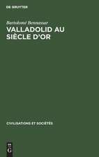 Valladolid au siècle d'or: une ville de Castille et sa campagne au XVIe siècle