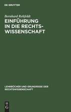 EINFÜHRUNG IN DIE RECHTSWISSESCHAFT: GRUNDFRAGEN, GRUNDGEDANKEN U. ZUSAMMENHÄNGE 2., ERG. AUFL (LEHRBÜCHER UND GRUNDRISSE DER RECHTSWISSENSCHAFT; 9)