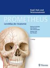 PROMETHEUS Kopf, Hals und Neuroanatomie