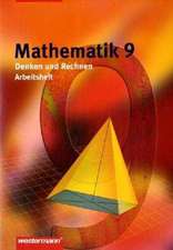 Mathematik Denken und Rechnen 9. Arbeitsheft. Niedersachsen