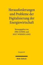 Herausforderungen und Probleme der Digitalisierung der Energiewirtschaft