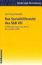 Das Sozialhilferecht Des Sgb XII: Einfuhrung in Das Neue Recht Der Sozialen Hilfen