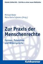 Zur Praxis Der Menschenrechte: Formen, Potenziale Und Widerspruche