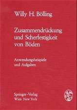 Zusammendrückung und Scherfestigkeit von Böden: Anwendungsbeispiele und Aufgaben