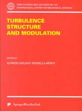 Turbulence Structure and Modulation