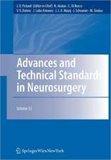 Advances and Technical Standards in Neurosurgery Vol. 30