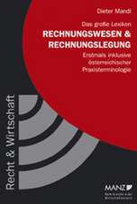 Das grosse Lexikon Rechnungswesen und Rechnungslegung