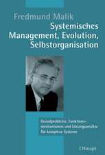 Systemisches Management, Evolution, Selbstorganisation