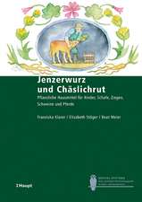 Jenzerwurz und Chäslichrut