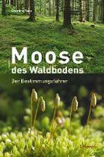 Moose des Waldbodens