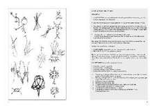 An Annotated Classification of Textile Techniques