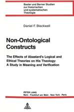 Non-Ontological Constructs