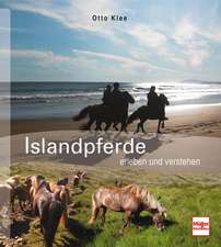 Islandpferde erleben und verstehen