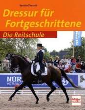 Die Reitschule Dressur für Fortgeschrittene