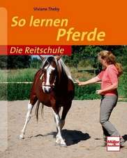 Die Reitschule: So lernen Pferde