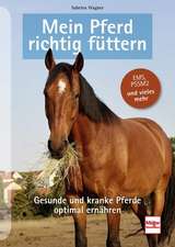 Mein Pferd richtig füttern