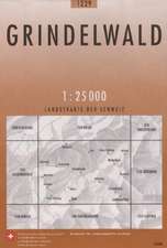 1229 Grindelwald