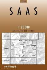 1329 Saas