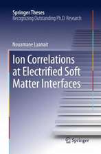 Ion Correlations at Electrified Soft Matter Interfaces