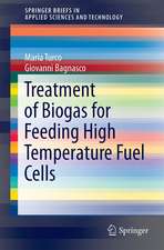 Treatment of Biogas for Feeding High Temperature Fuel Cells: Removal of Harmful Compounds by Adsorption Processes