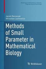 Methods of Small Parameter in Mathematical Biology