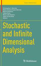 Stochastic and Infinite Dimensional Analysis