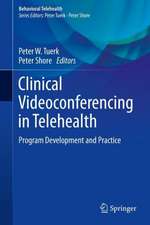 Clinical Videoconferencing in Telehealth: Program Development and Practice