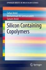 Silicon Containing Copolymers