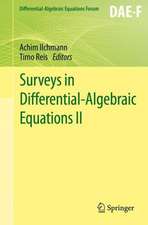 Surveys in Differential-Algebraic Equations II