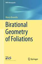 Birational Geometry of Foliations