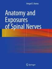 Anatomy and Exposures of Spinal Nerves