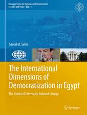 The International Dimensions of Democratization in Egypt: The Limits of Externally-Induced Change