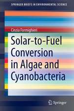 Solar-to-Fuel Conversion in Algae and Cyanobacteria