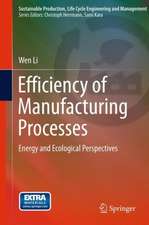 Efficiency of Manufacturing Processes: Energy and Ecological Perspectives