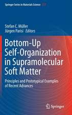 Bottom-Up Self-Organization in Supramolecular Soft Matter