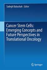 Cancer Stem Cells: Emerging Concepts and Future Perspectives in Translational Oncology