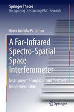 A Far-Infrared Spectro-Spatial Space Interferometer: Instrument Simulator and Testbed Implementation