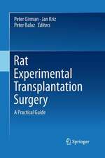 Rat Experimental Transplantation Surgery: A Practical Guide