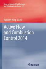 Active Flow and Combustion Control 2014