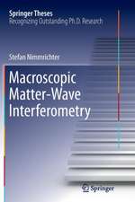 Macroscopic Matter Wave Interferometry