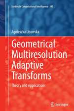 Geometrical Multiresolution Adaptive Transforms: Theory and Applications