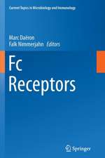 Fc Receptors