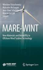 MARE-WINT: New Materials and Reliability in Offshore Wind Turbine Technology